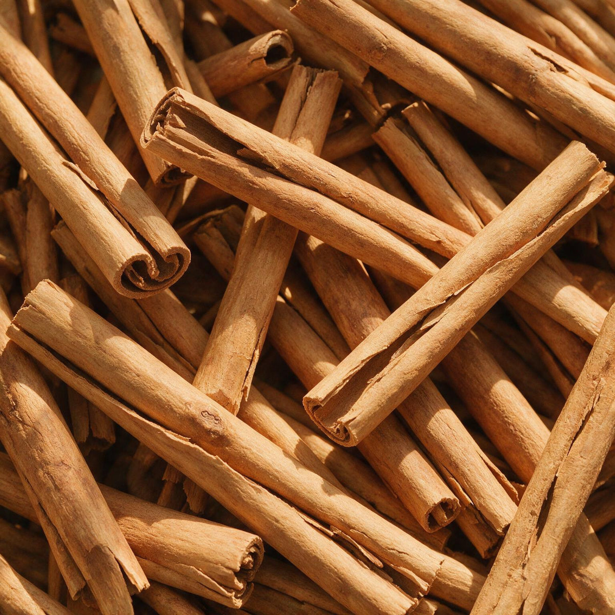 Cannella di Ceylon