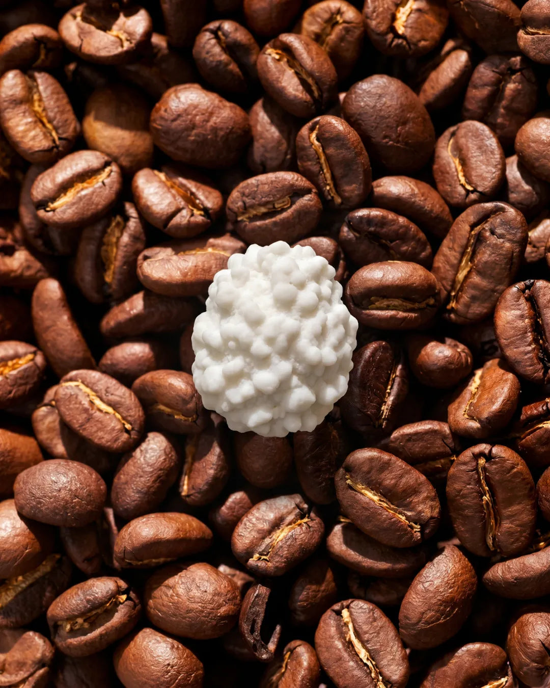 Chicco di Caffè Confettato