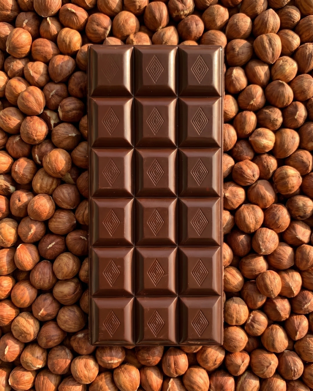 Tavoletta di Cioccolato Fondente con Nocciole