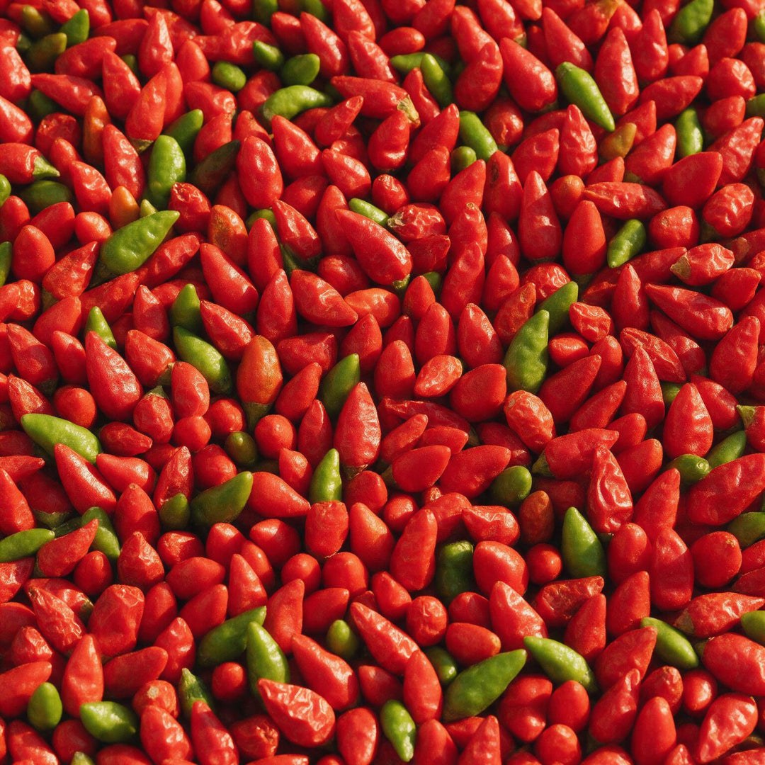 Peperoncino Occhio di Drago - Capsicum annuum L.