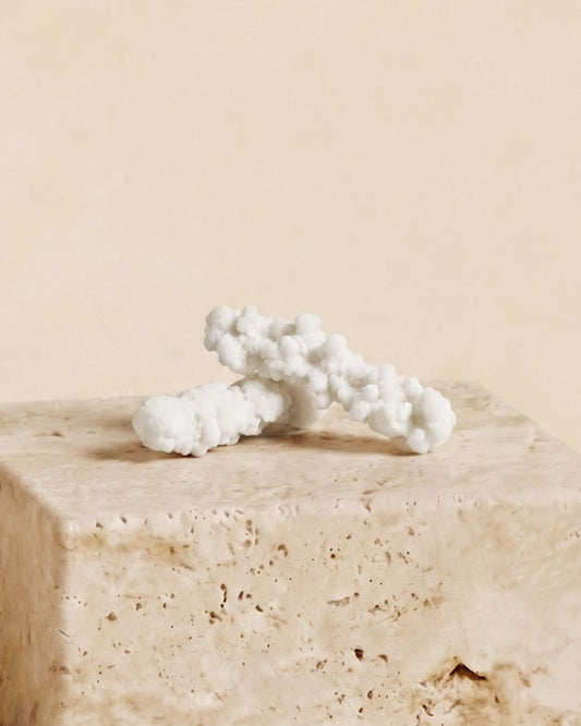 Cannella Confettata
