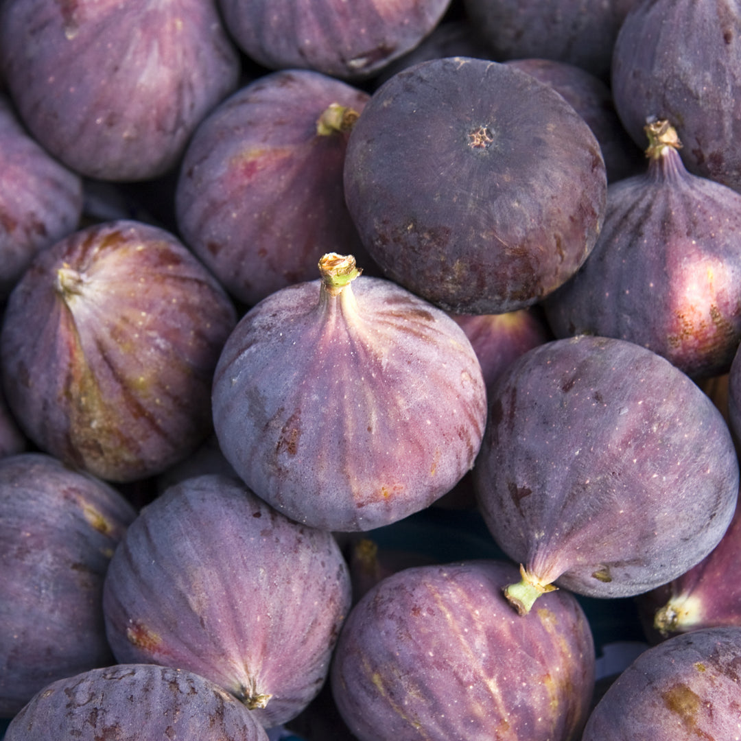 Frutta fresca secondo stagione