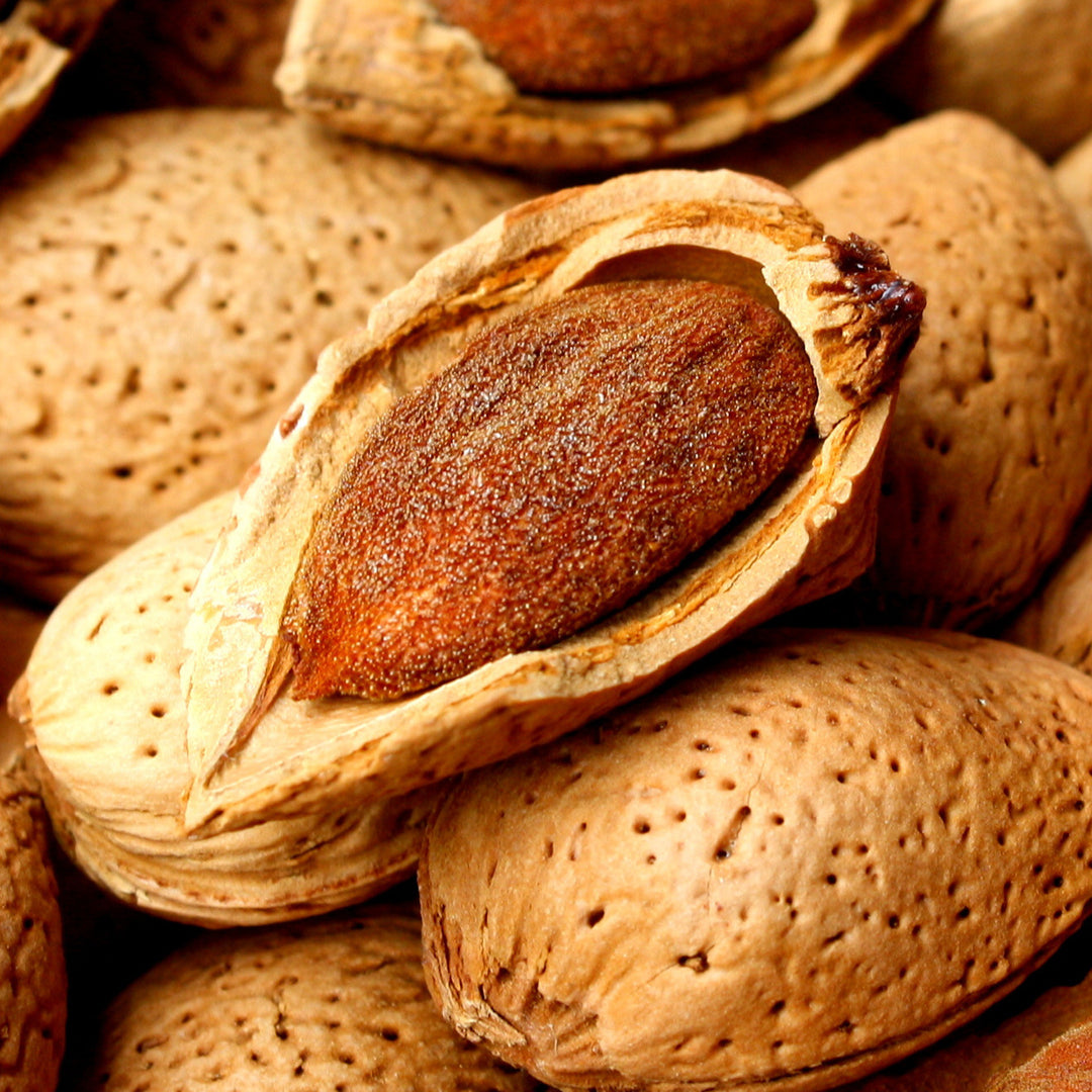 Mandorle pugliesi