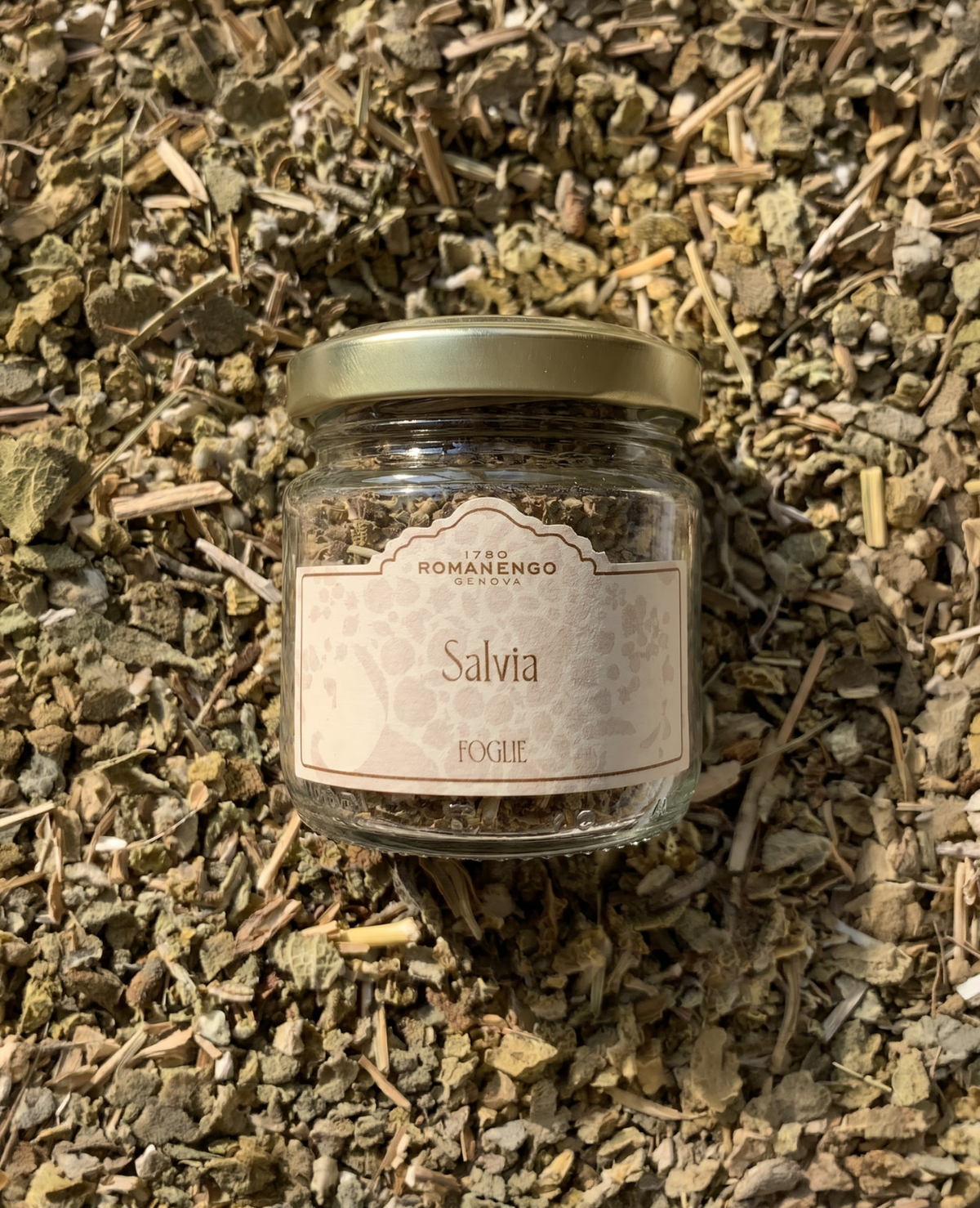 Salvia